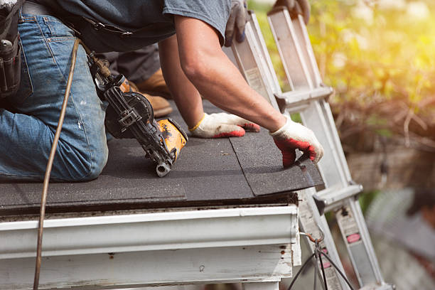 Best Metal Roofing Contractor  in Otsego, MI